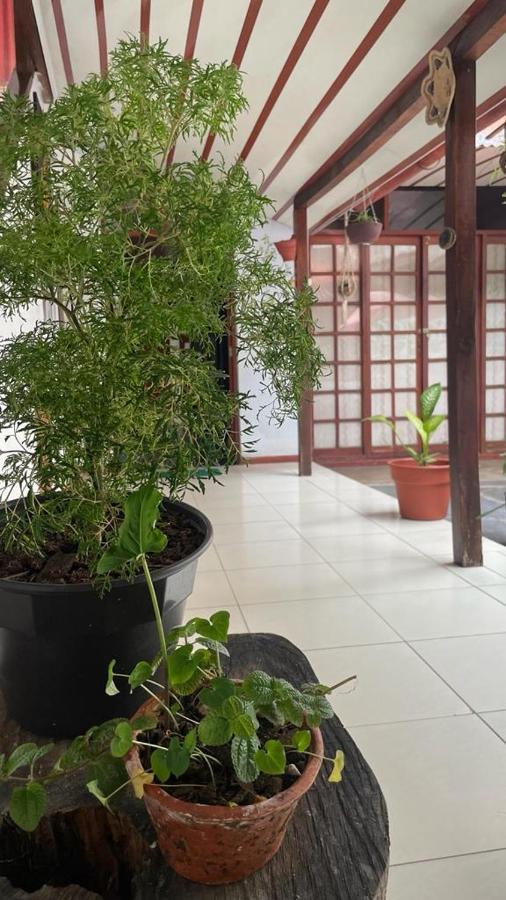 Hospedaje Casa Amazonica Ικίτος Εξωτερικό φωτογραφία