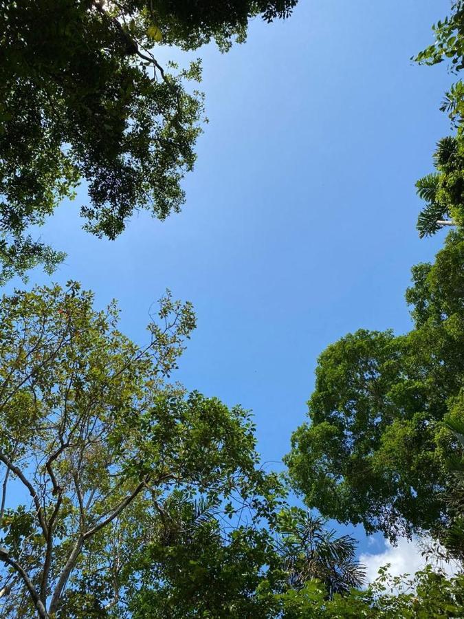 Hospedaje Casa Amazonica Ικίτος Εξωτερικό φωτογραφία