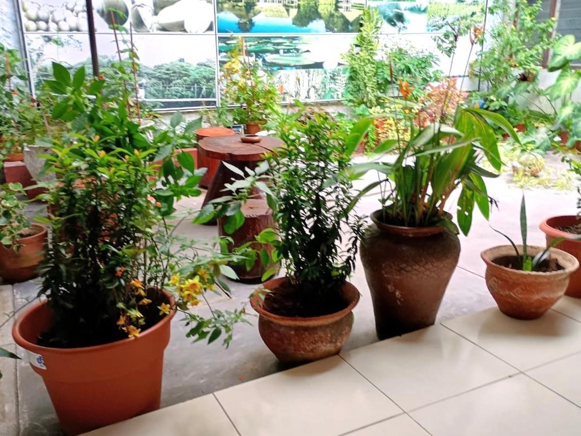 Hospedaje Casa Amazonica Ικίτος Εξωτερικό φωτογραφία