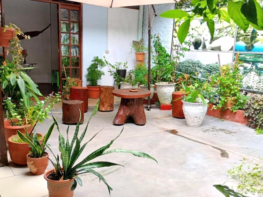 Hospedaje Casa Amazonica Ικίτος Εξωτερικό φωτογραφία